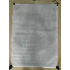 菲尼克斯大学 Architecture Degree Certificate
